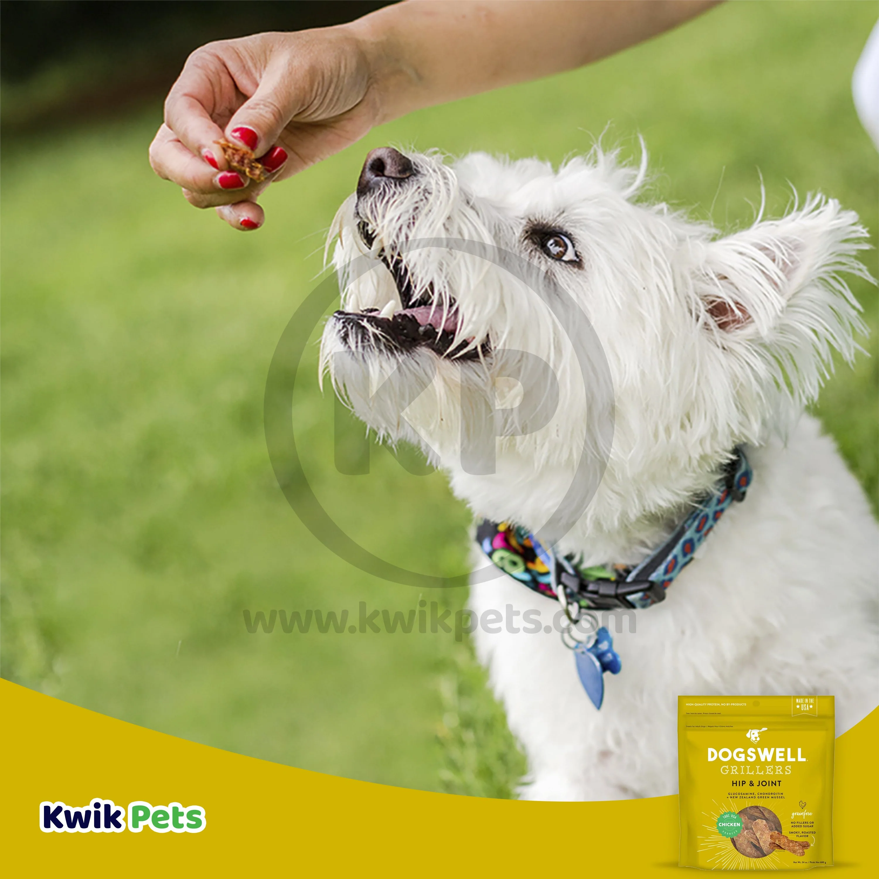 Dogswell Hip & Joint Grillers Grain-Free Dog Treats Chicken 24-oz - Image 8