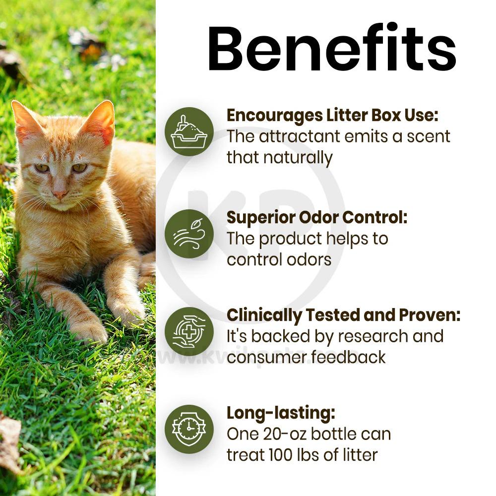 Dr. Elsey's Precious Cat Ultra Litter Attractant 20-oz - Image 4