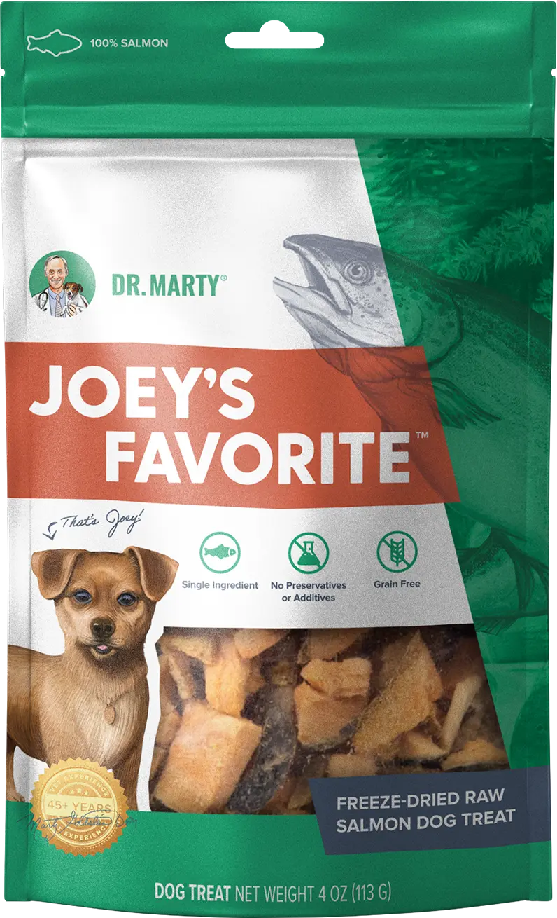 Dr. Marty Joey's Favorite Freeze-Dried Dog Treats Salmon 4-oz