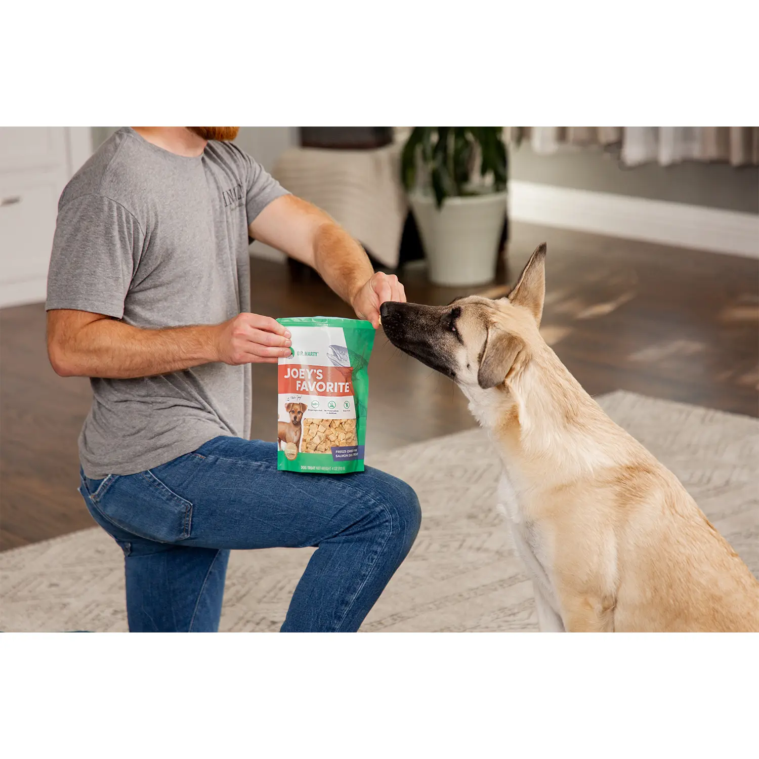 Dr. Marty Joey's Favorite Freeze-Dried Dog Treats Salmon 4-oz - Image 7
