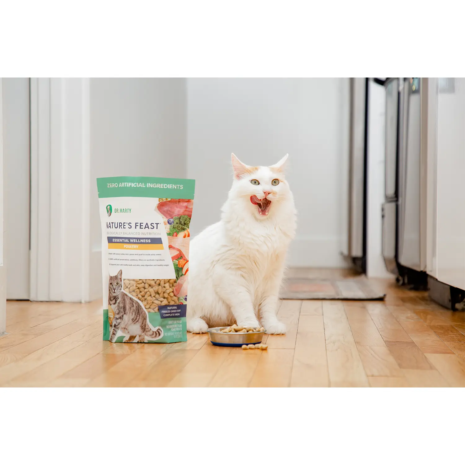 Dr. Marty Nature's Feast Essential Wellness Premium Freeze-Dried Raw Adult Cat Food Poultry 12-oz - Image 6