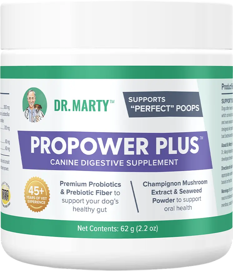Dr. Marty ProPower Plus Canine Digestive Supplements 2.2-oz