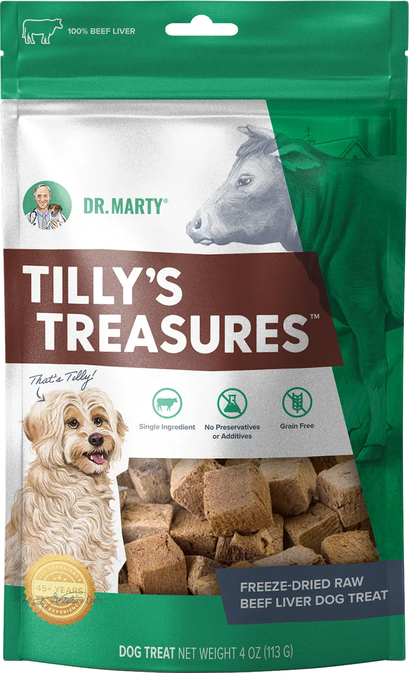 Dr. Marty Tilly's Treasures Freeze-Dried Dog Treats Beef Liver 4-oz