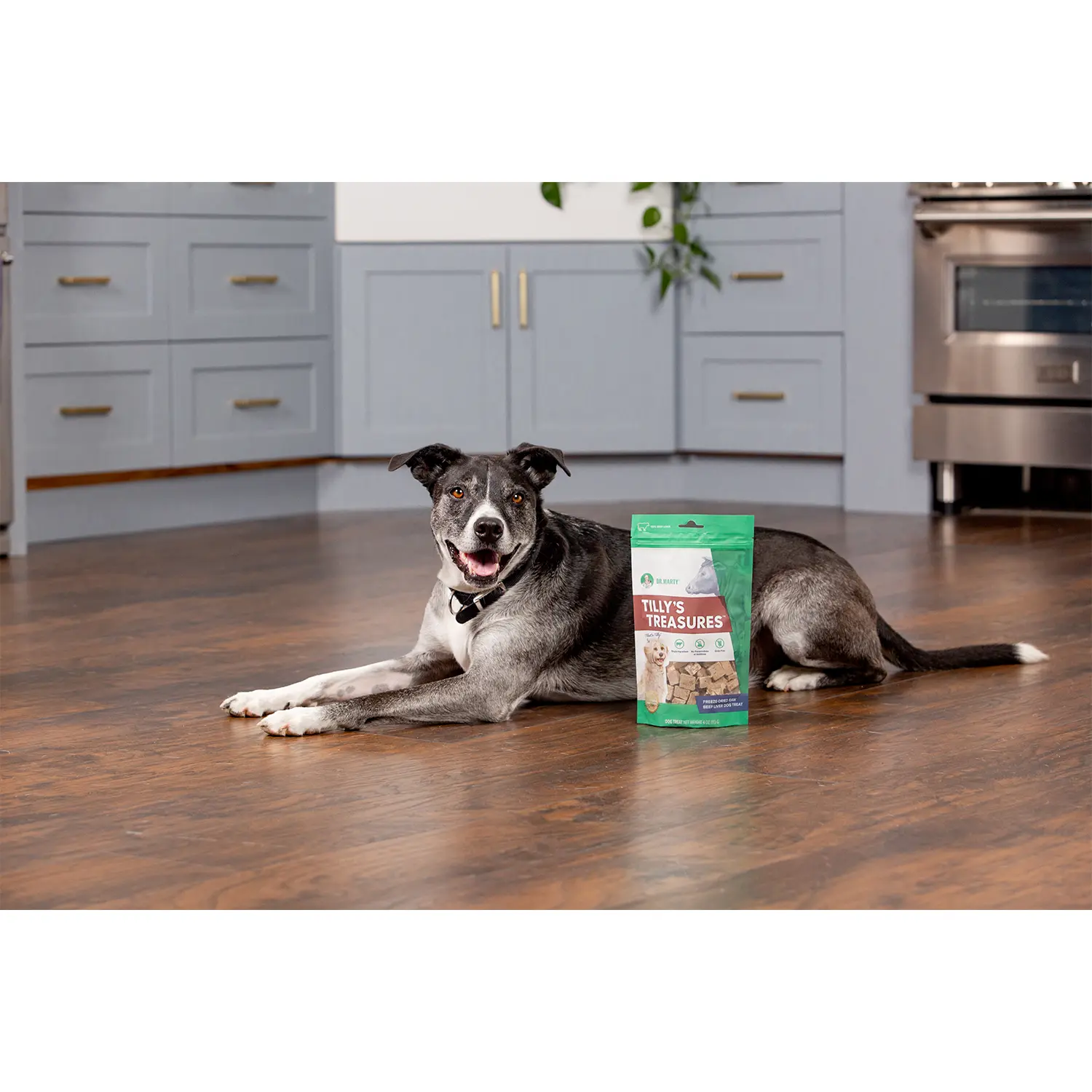Dr. Marty Tilly's Treasures Freeze-Dried Dog Treats Beef Liver 4-oz - Image 7