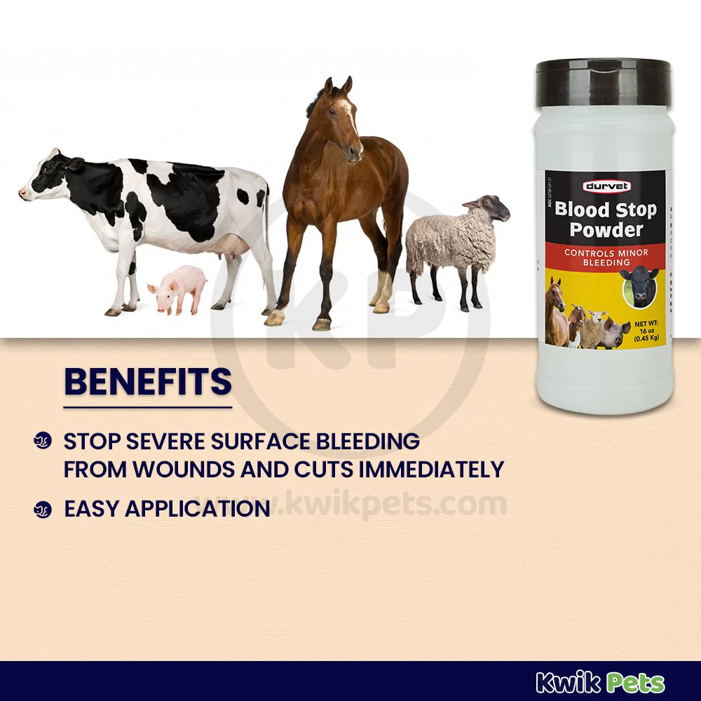 Durvet Blood Stop Powder 16-oz - Image 2