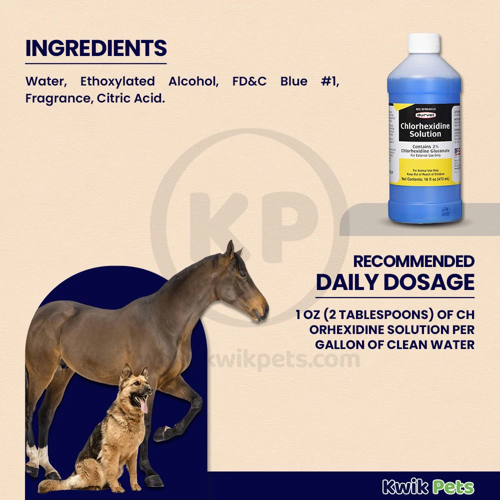 Durvet Chlorhexidine Solution 16-oz - Image 4