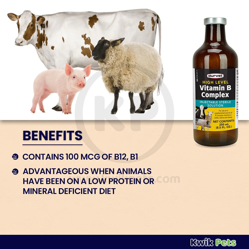 Durvet High Level Vitamin B Complex Injectable Sterile Solution 250 ml - Image 2