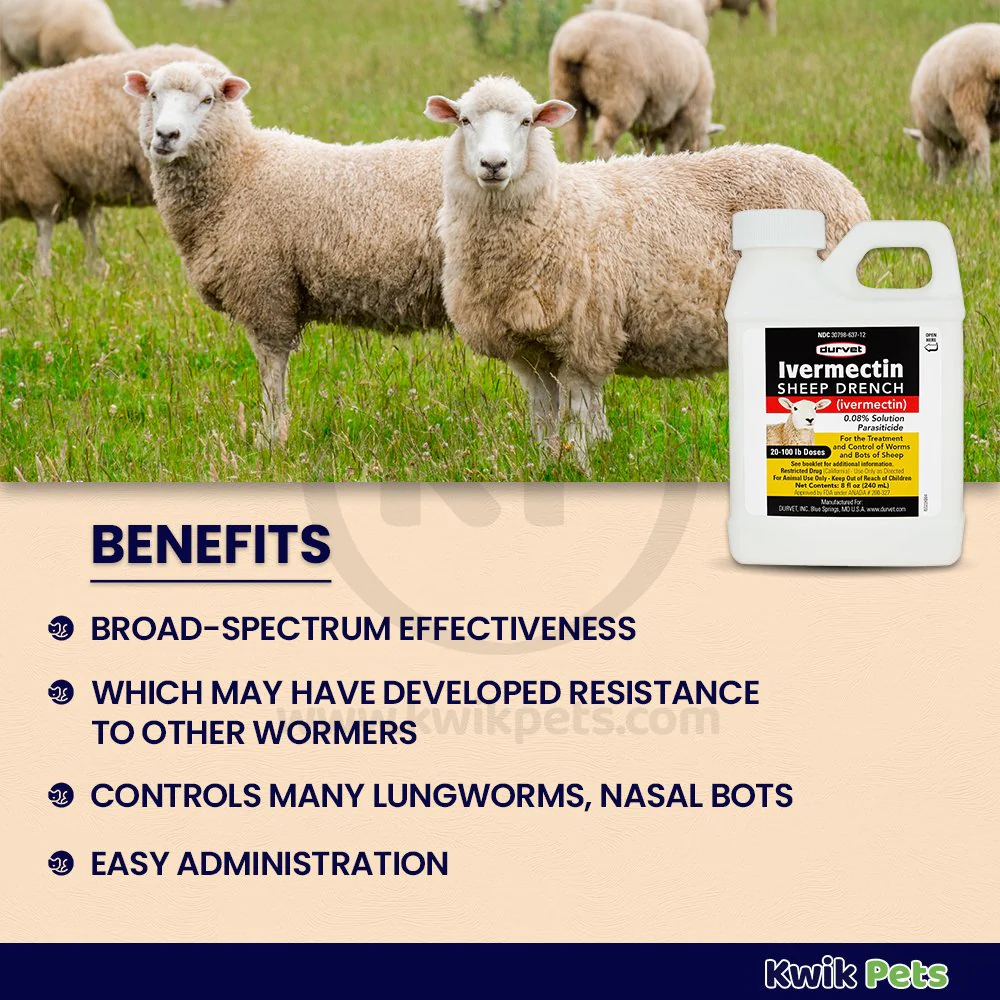 Durvet Ivermectin Sheep Drench Dewormer 8-oz - Image 2