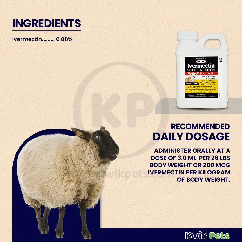 Durvet Ivermectin Sheep Drench Dewormer 8-oz - Image 3