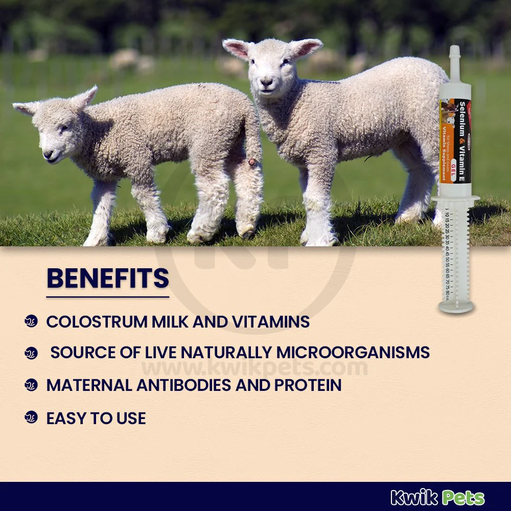 Durvet Sheep & Goat Selenium Vitamin E Gel 80 ml - Image 2