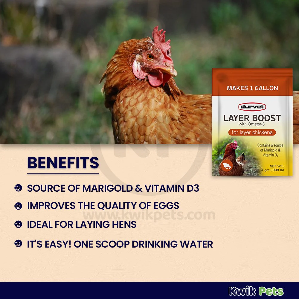 Durvet Layer Boost with Omega-3 for Layer Chickens 4 gram - Image 2