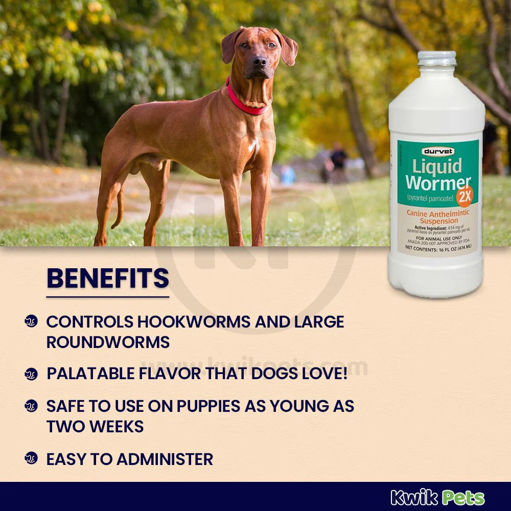 Durvet Liquid Wormer 2X for Dogs 16-oz - Image 3