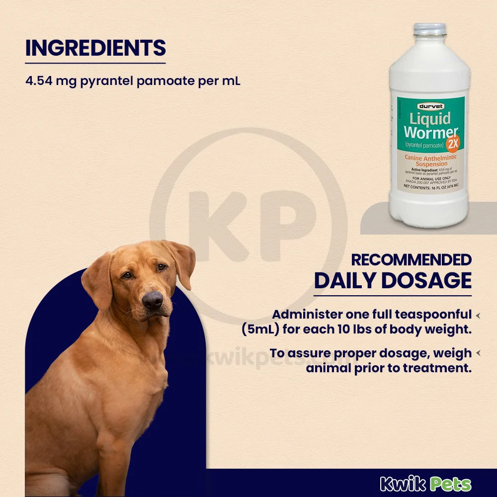 Durvet Liquid Wormer 2X for Dogs 16-oz - Image 4