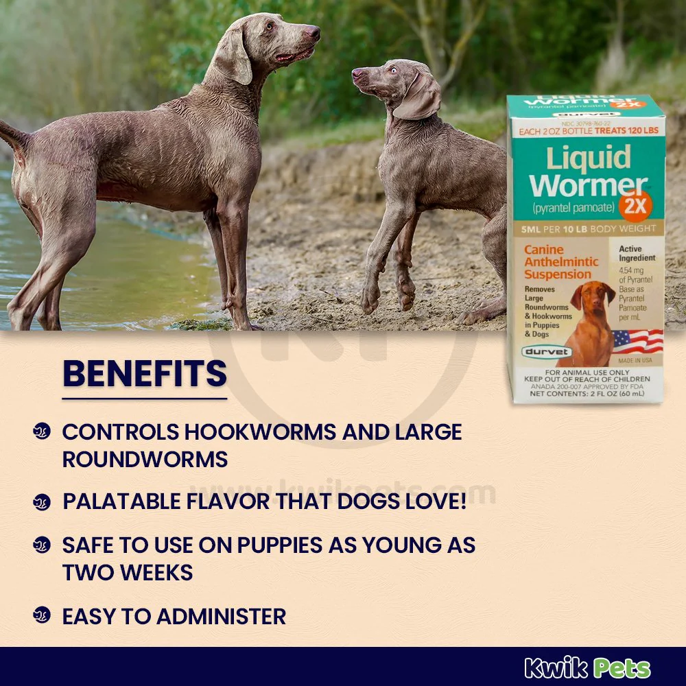 Durvet Liquid Wormer 2X for Dogs 2-oz - Image 3