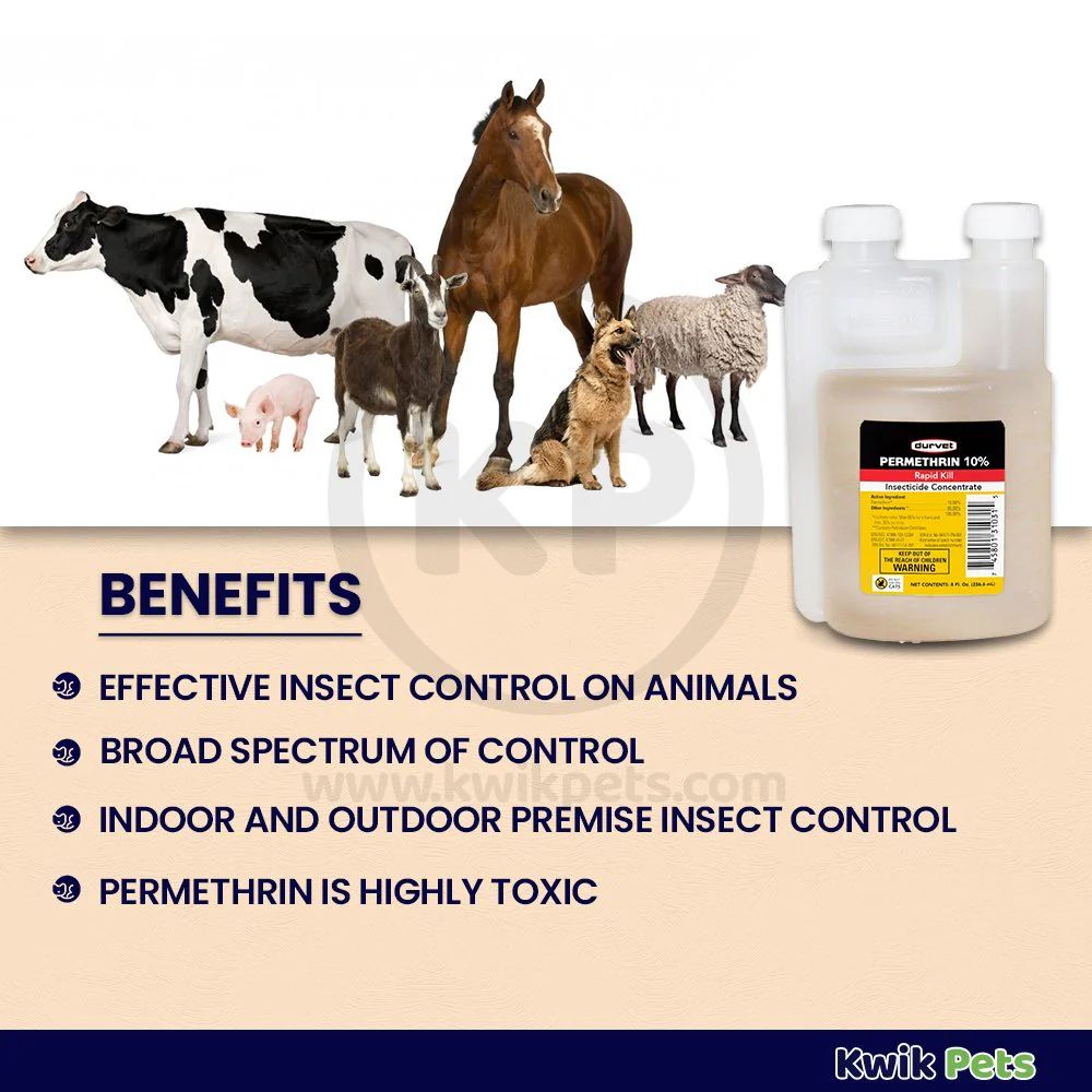 Durvet Permethrin 10% Rapid Kill Insectiside Concentrate 8-oz - Image 2