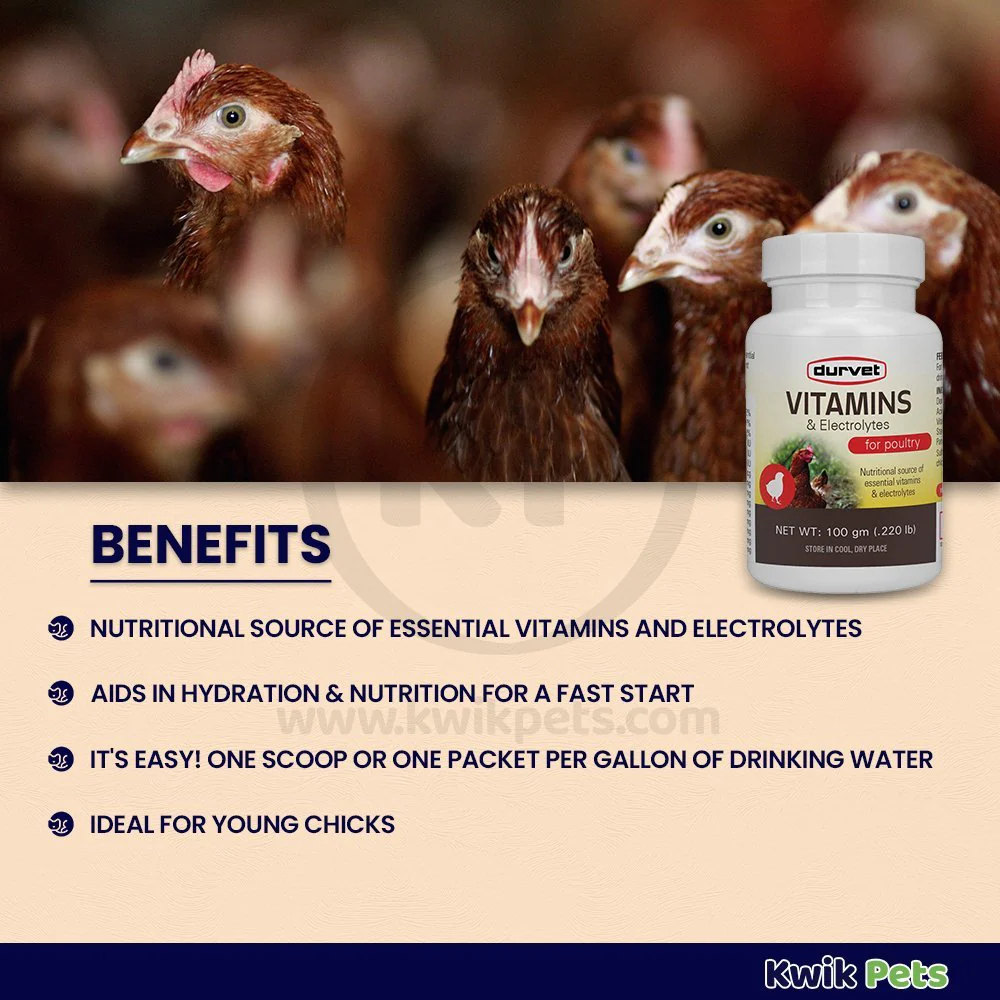 Durvet Vitamins & Electrolytes Poultry Nutrient Supplement 100g - Image 2