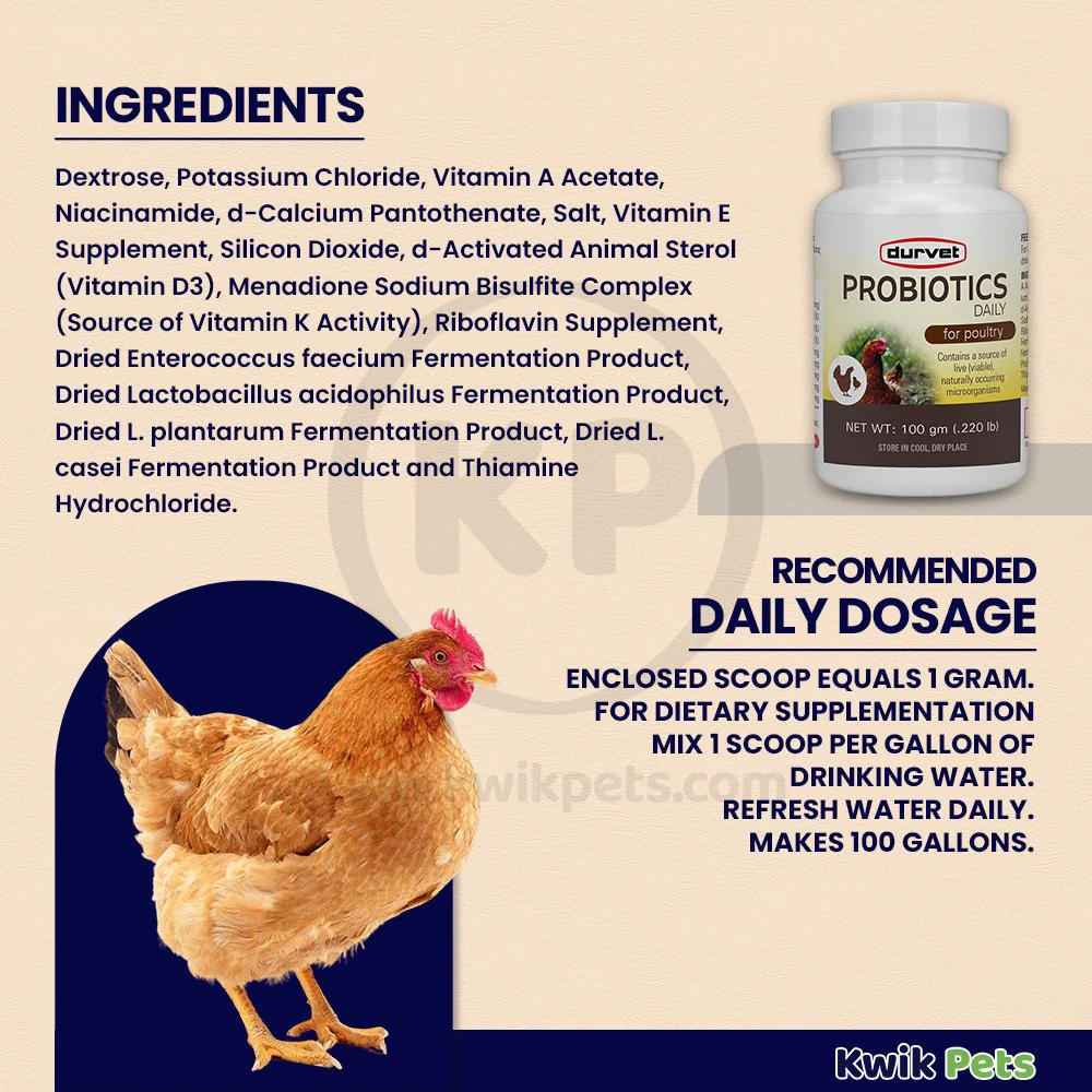 Durvet Probiotics Daily Poultry Supplement 100 gram - Image 3