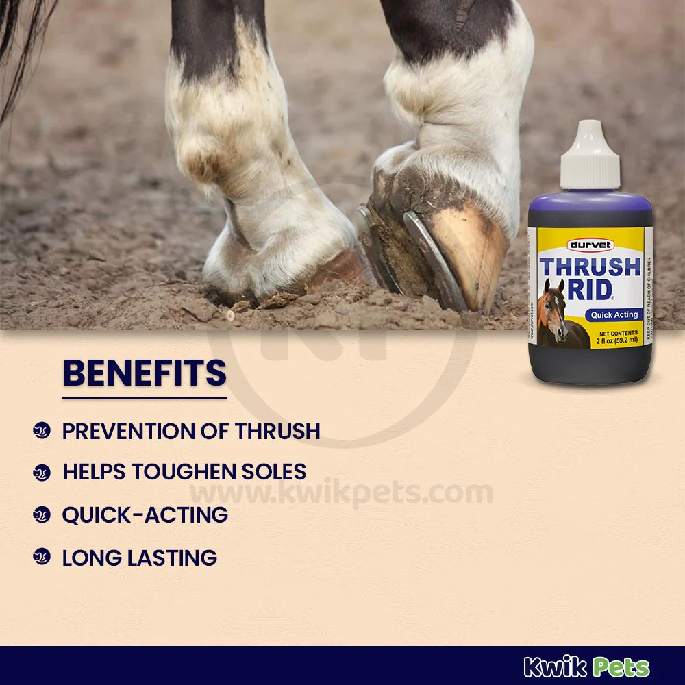 Durvet Quick Action Thrush RID Hoof Care 2-oz - Image 2