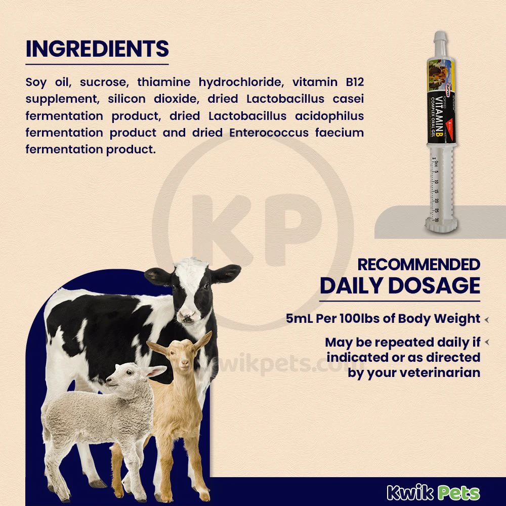 Durvet Vitamin B Complex Oral Gel 30 ml - Image 3
