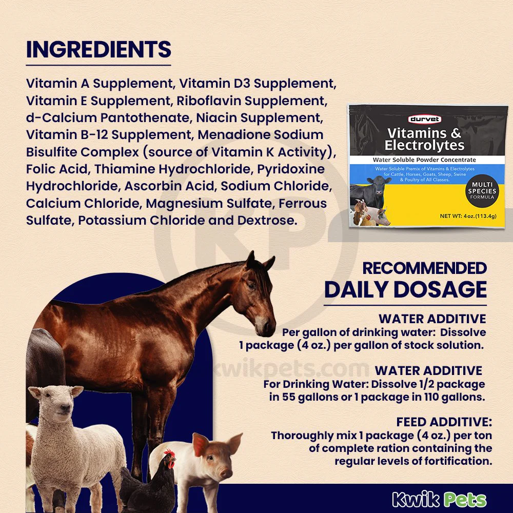 Durvet Vitamin & Electrolyte Concentrate 4-oz - Image 3