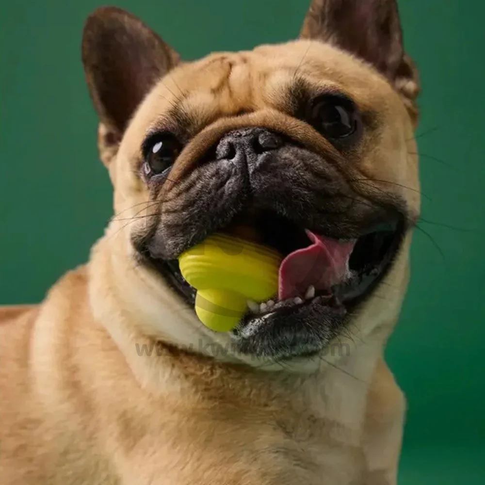 Earth Rated Natural Rubber Dog Fetch Toy Yellow Medium - Image 5
