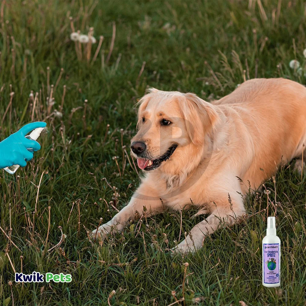 Earthbath 3-in-1 Deodorizing Spritz for Dogs Lavender 8-oz - Image 5