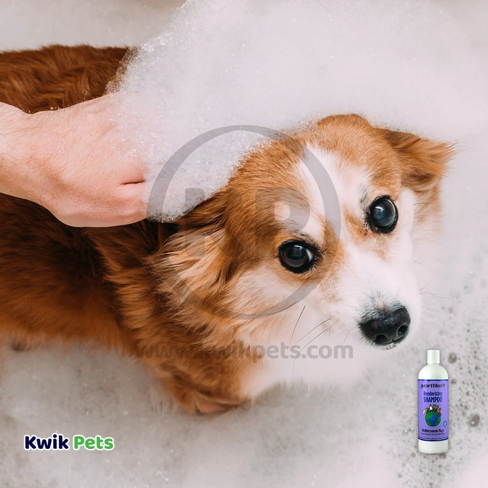 Earthbath Deodorizing Shampoo for Dogs Mediterranean Magic 16-oz - Image 5