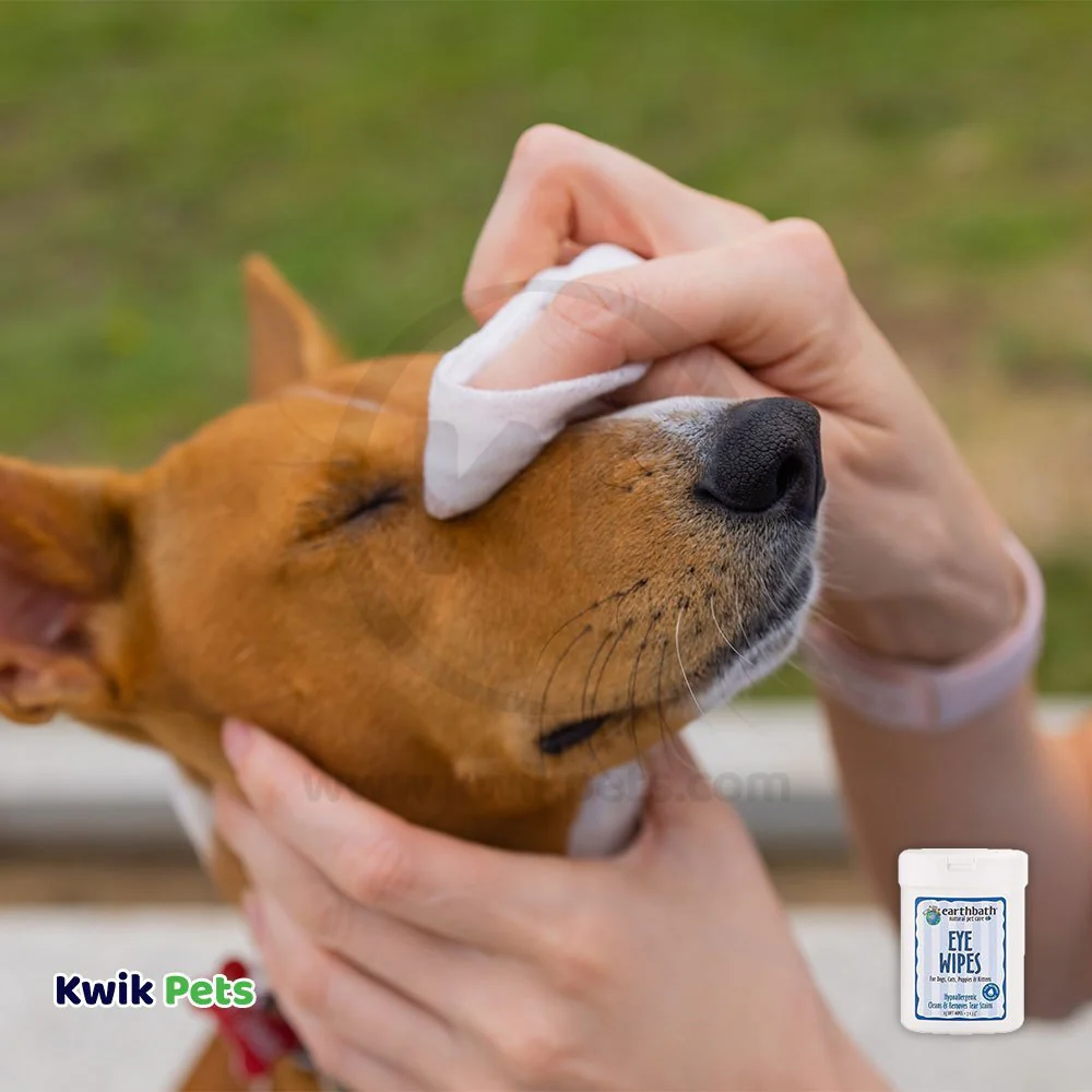 Earthbath Eye Wipes for Dogs & Cats 25 Count - Image 5