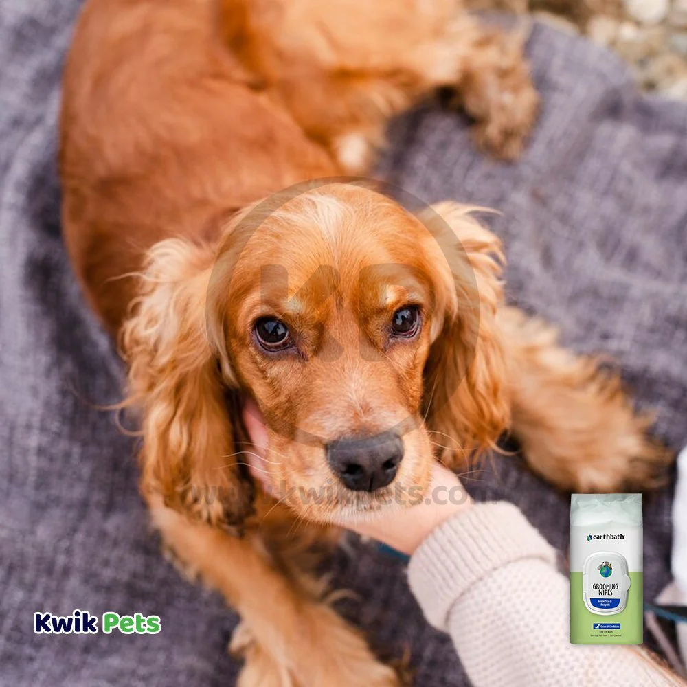 Earthbath Grooming Wipes for Dogs Green Tea & Awapuhi 100 Count - Image 5