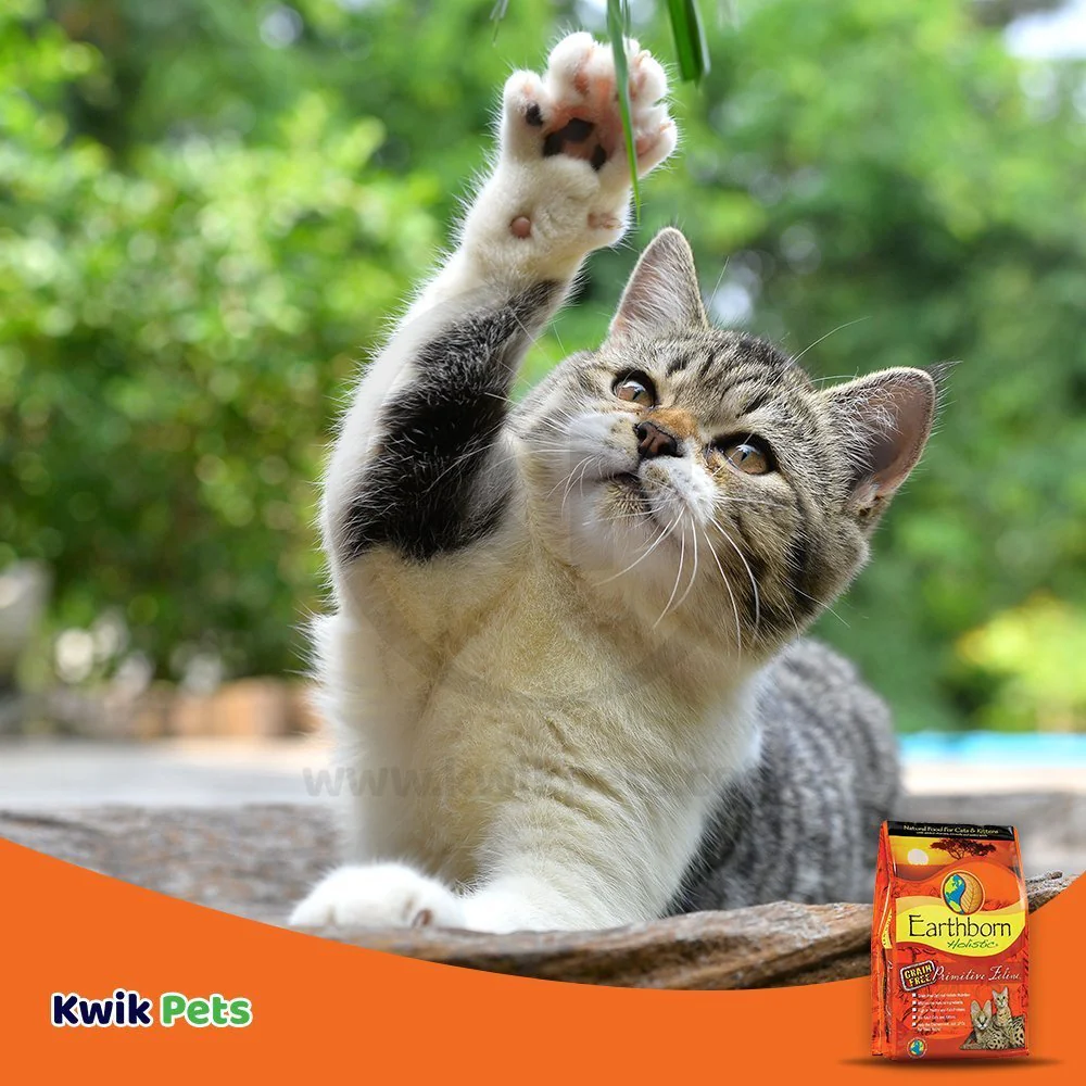 Earthborn Holistic Primitive Feline Grain-Free Dry Cat Food 5-lb - Image 7