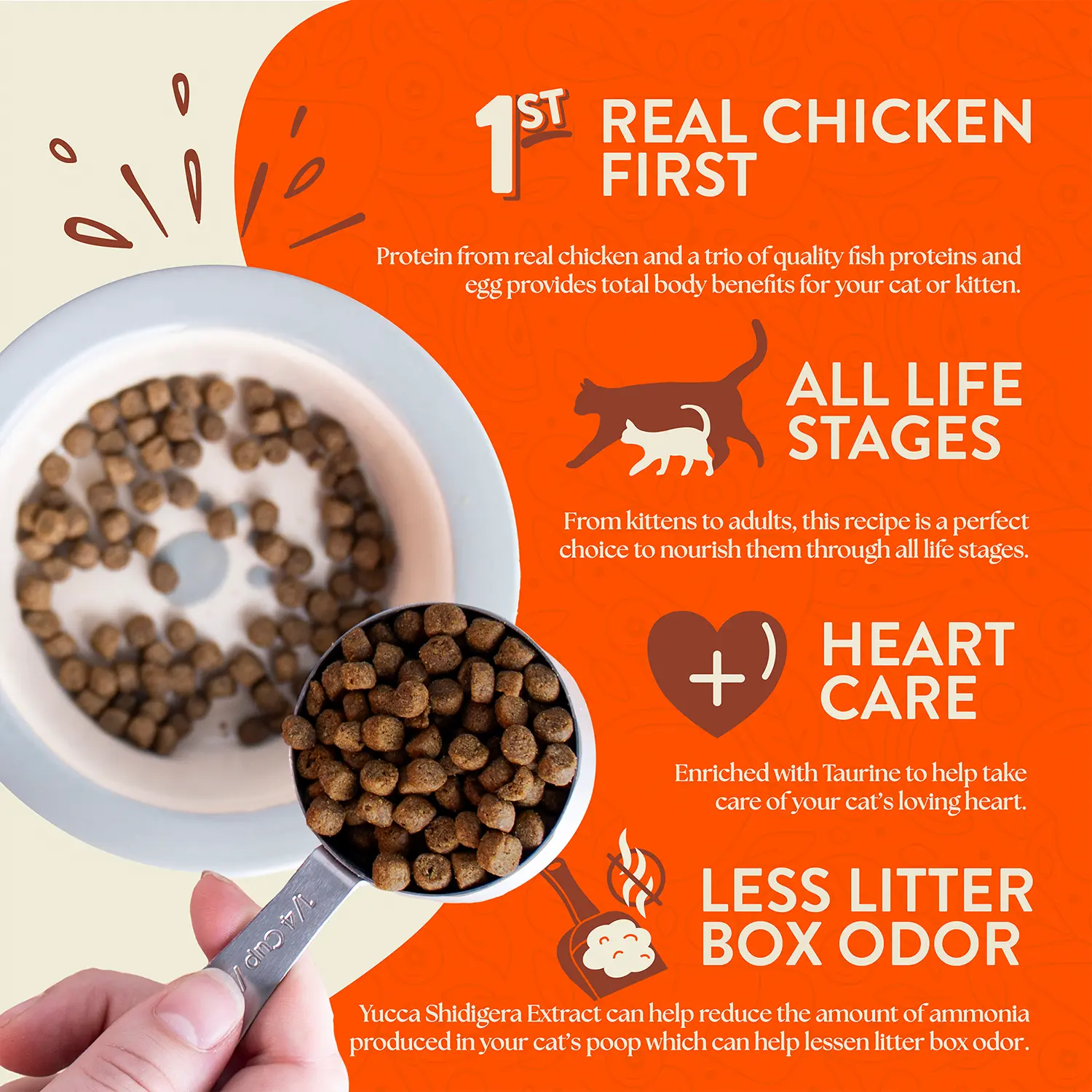 Earthborn Holistic Primitive Feline Grain-Free Indoor Formula Dry Cat Food Chicken & Vegetables 4-lb - Image 3