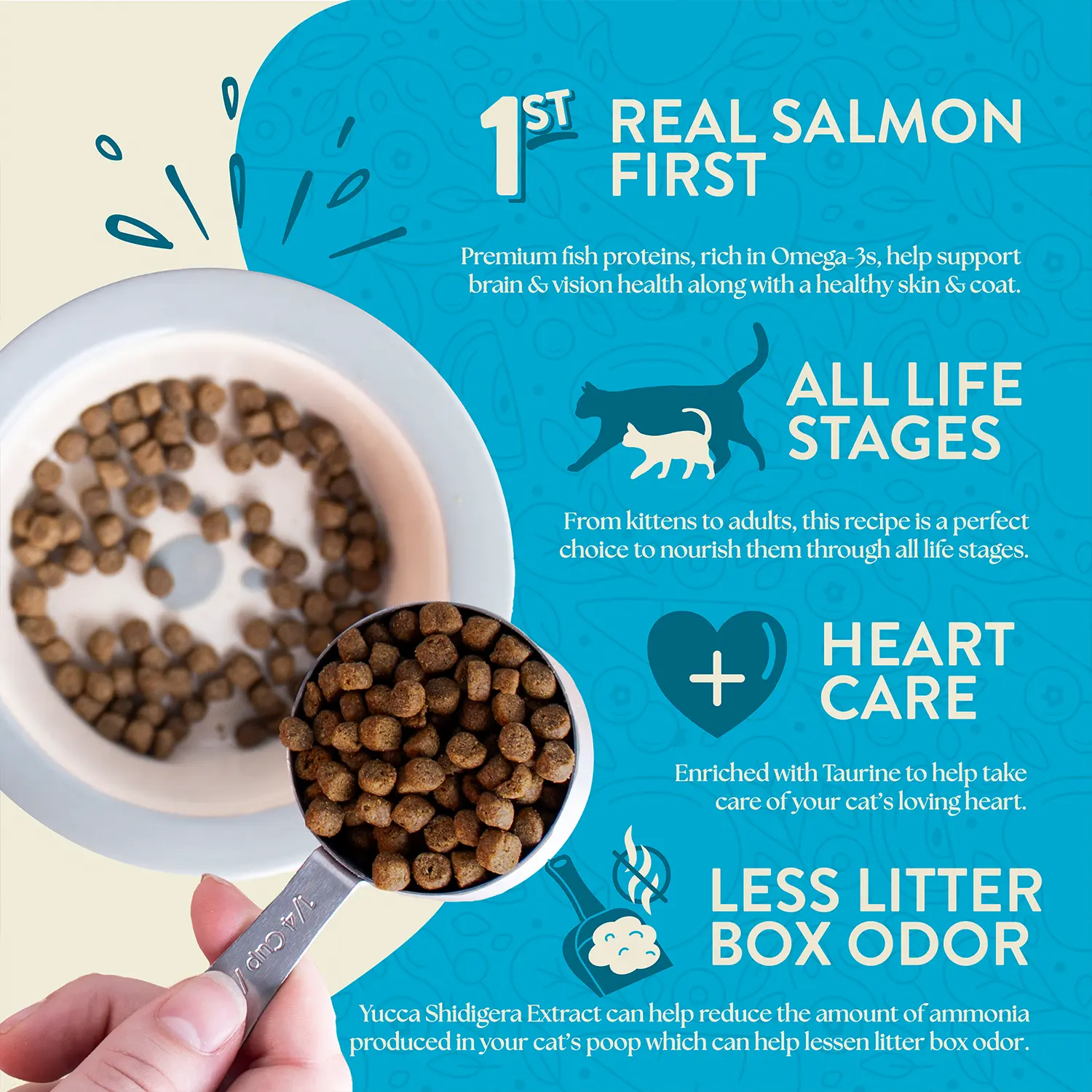 Earthborn Holistic Wild Sea Catch Grain-Free Indoor Formula Dry Cat Food Salmon & Vegetables 4-lb - Image 3