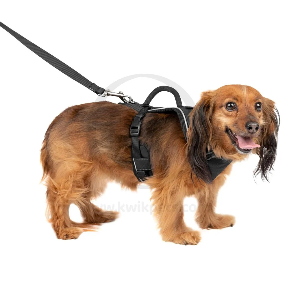EasySport Comfortable Dog Harness Black XS - Image 5