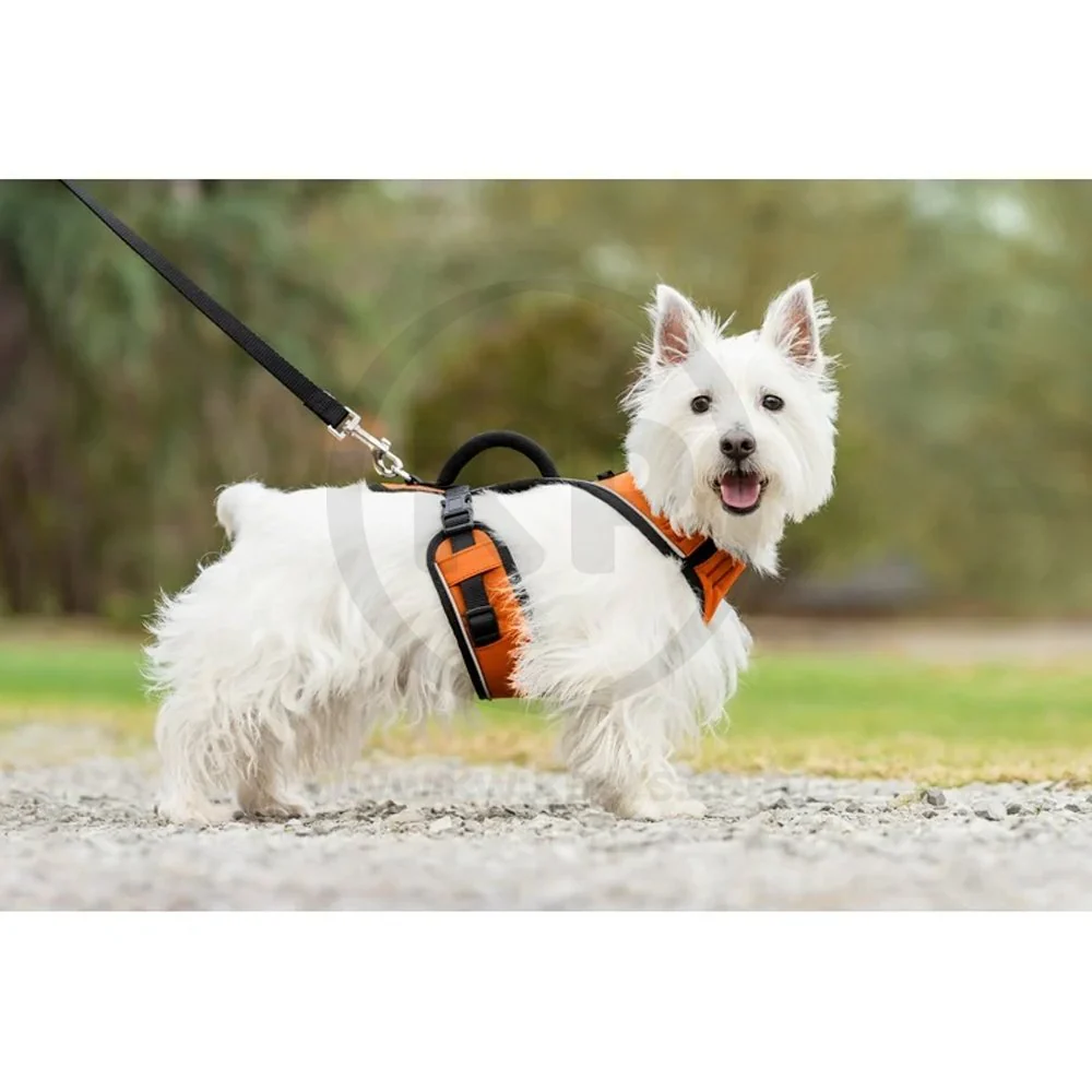 EasySport Comfortable Dog Harness Orange Small - Image 5