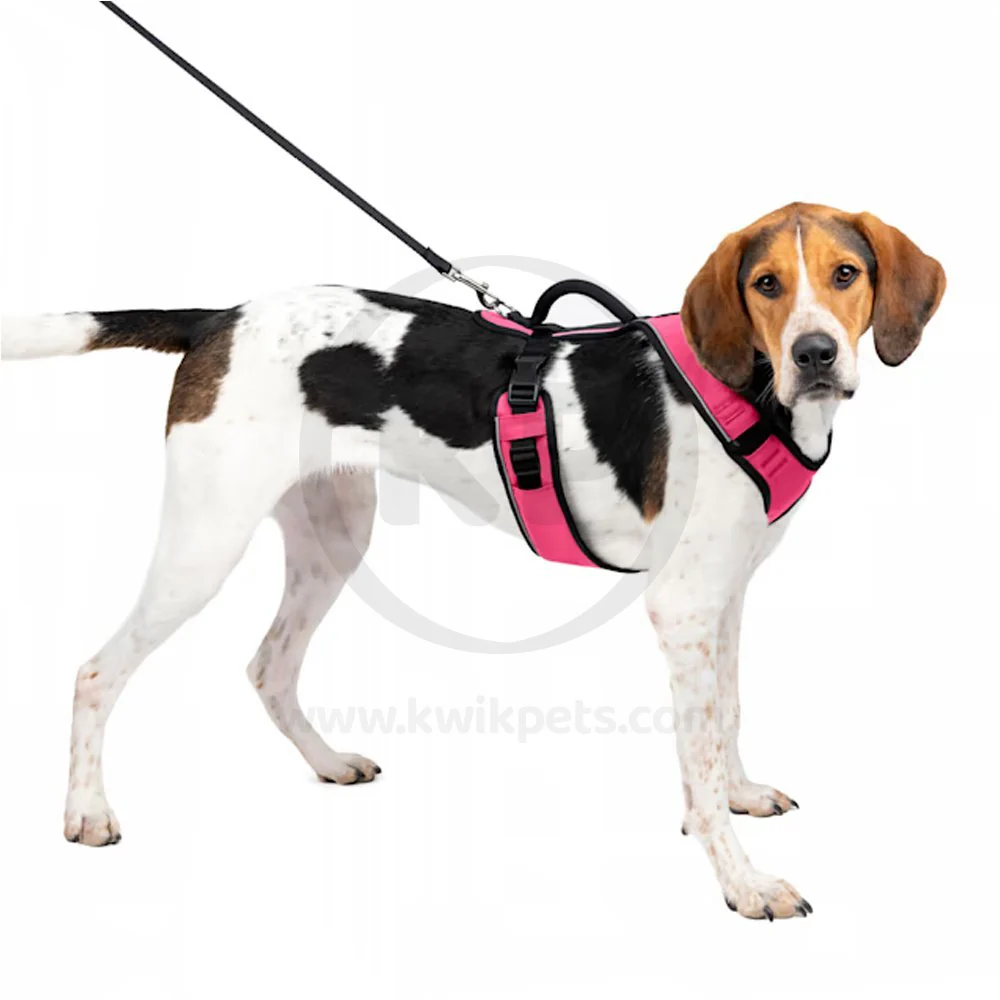EasySport Comfortable Dog Harness Pink Small - Image 5