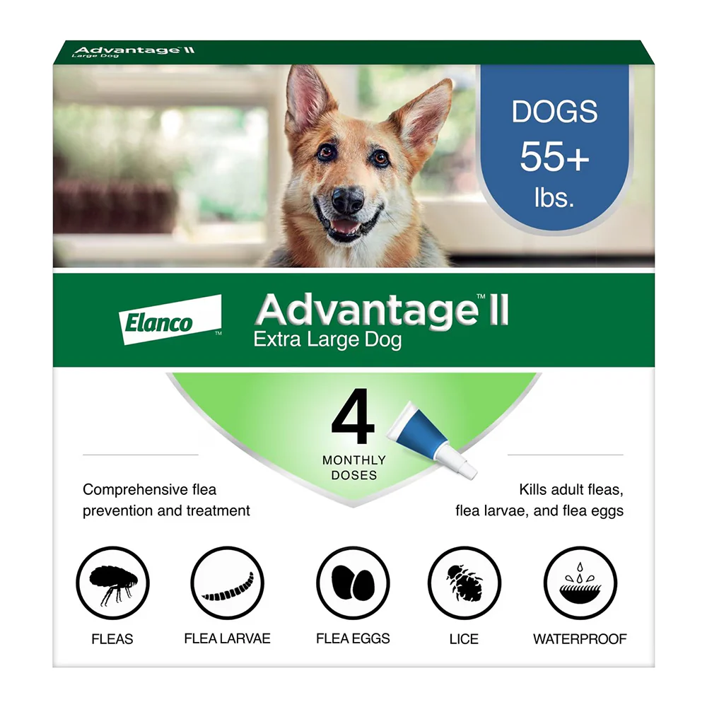 Elanco Advantage II 4-Month Supply Topical Flea Treatment & Prevention for Extra Large Dogs Over 55 lbs