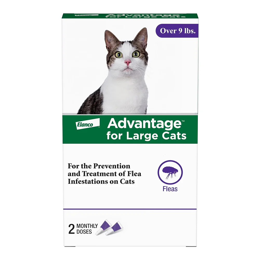 Elanco Advantage 2-Month Supply Topical Flea Treatment for Large Cats Over 9 lbs