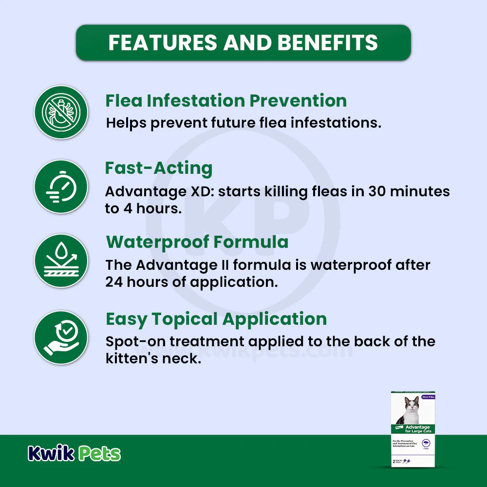 Elanco Advantage 2-Month Supply Topical Flea Treatment for Large Cats Over 9 lbs - Image 3