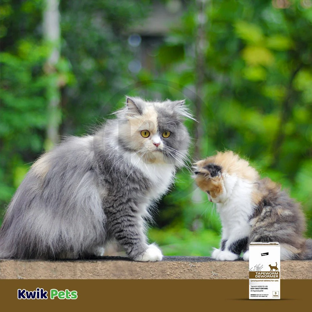 Elanco Tapeworm Dewormer (praziquantel tablets) for Cats & Kittens 3 Count - Image 5
