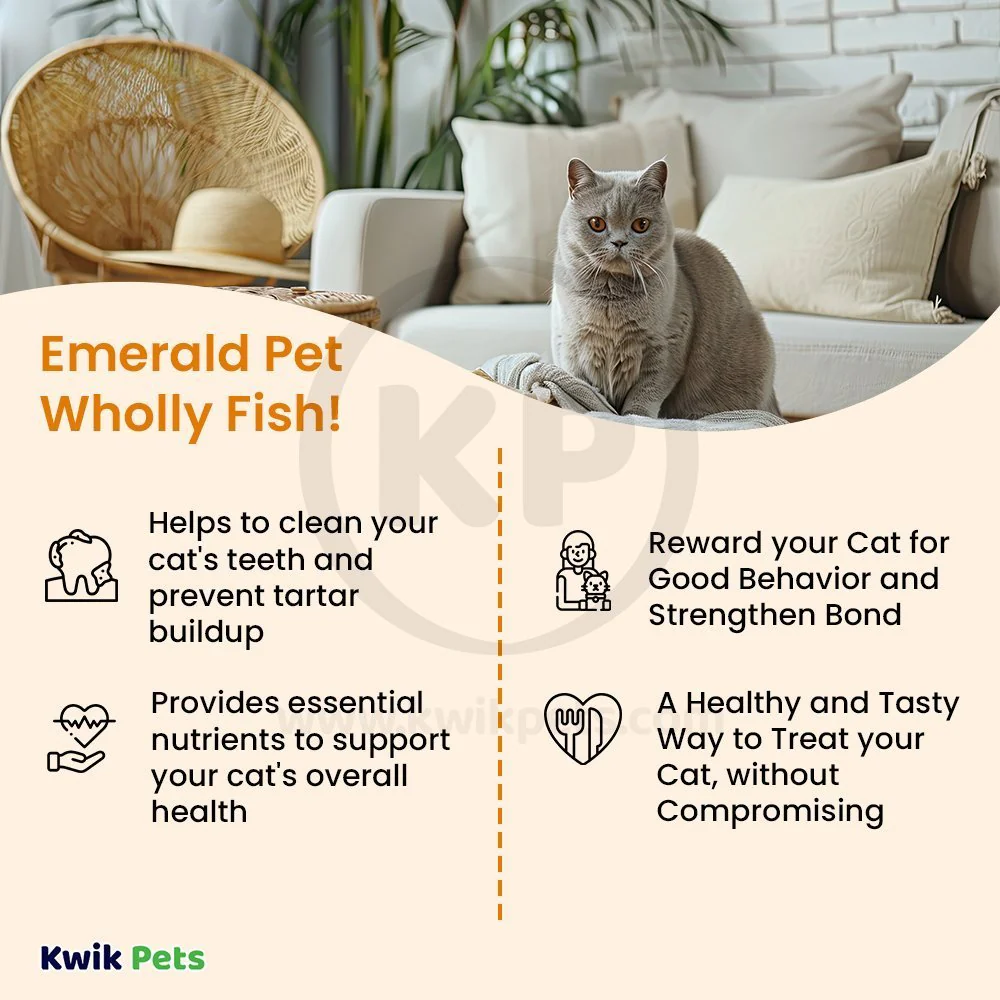 Emerald Pet Wholly Fish! Chicken-Free Feline Crunchy Cat Treats Salmon Recipe 3-oz - Image 4