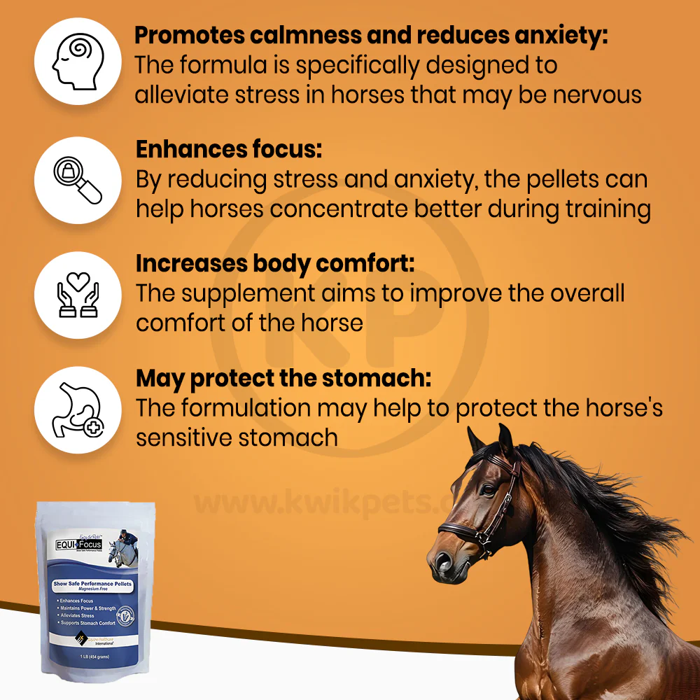 Equine Healthcare International Equi + Calm Pellets 1-lb - Image 3