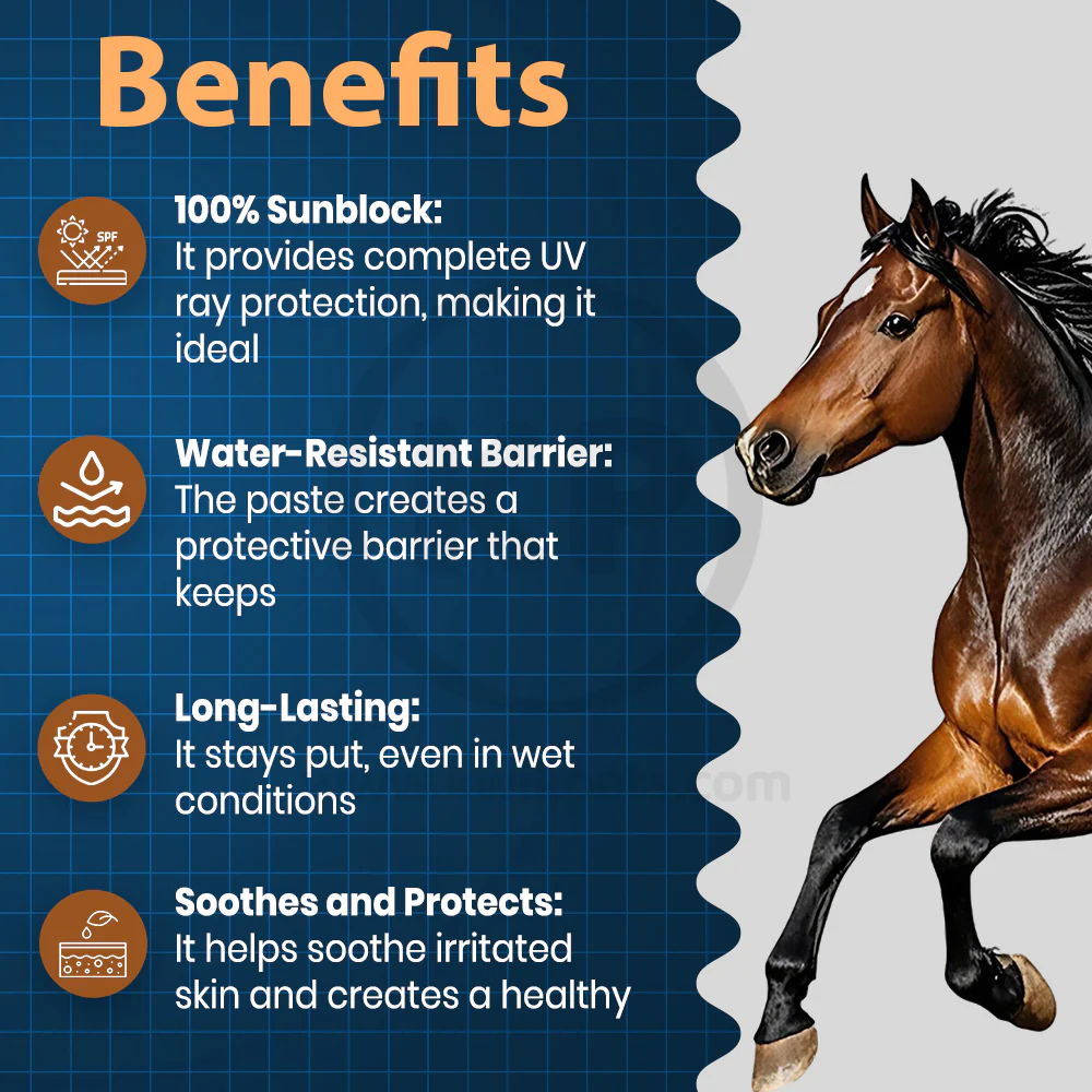 Equiderma Zinc Oxide Paste for Horses 16-oz - Image 4