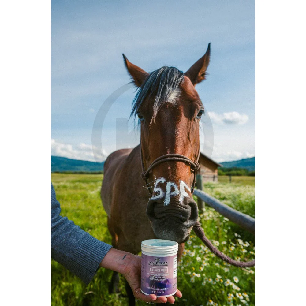 Equiderma Zinc Oxide Paste for Horses 16-oz - Image 5