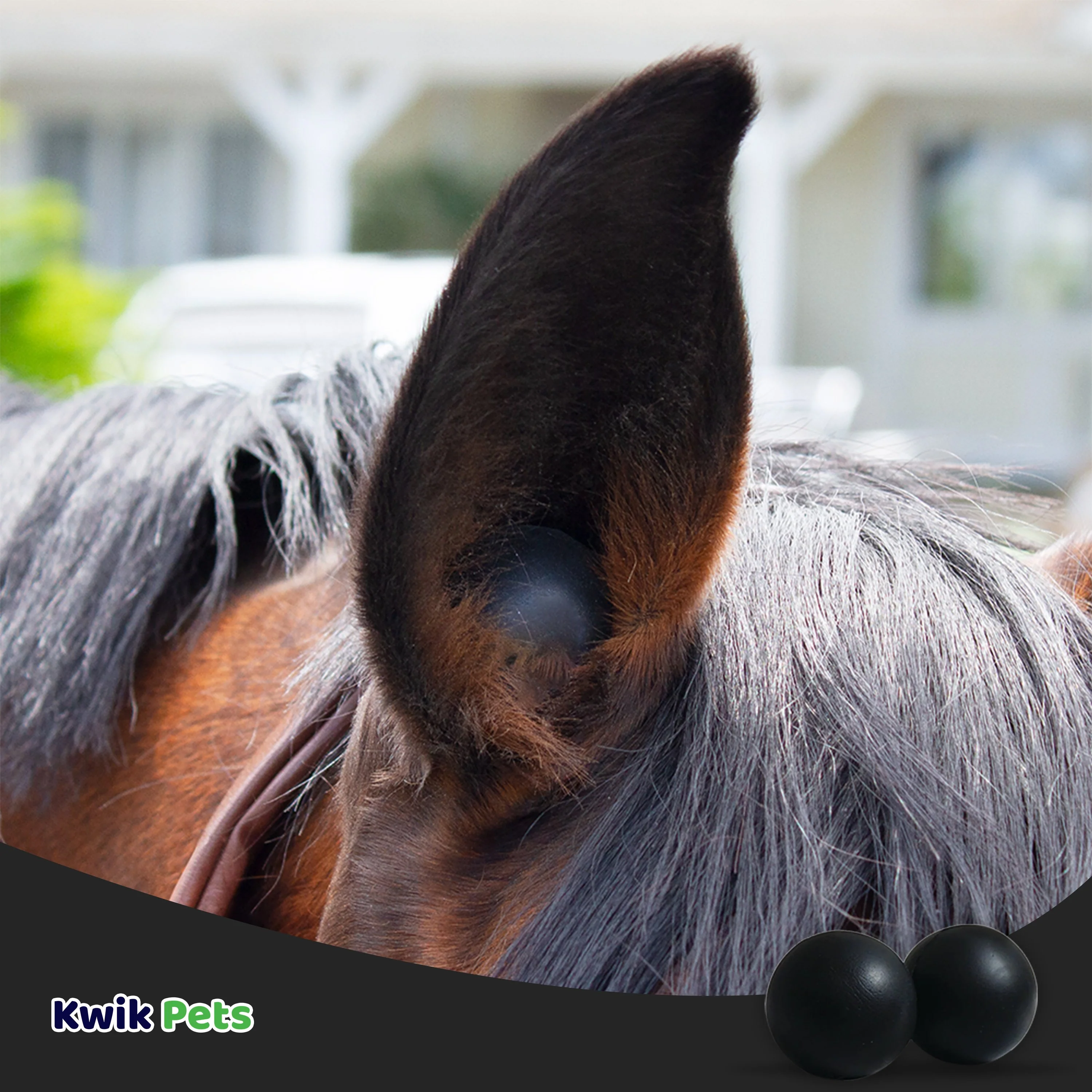 Equine Healthcare International Smooth Style Pomms Horse Ear Plugs Black 4 Count - Image 5