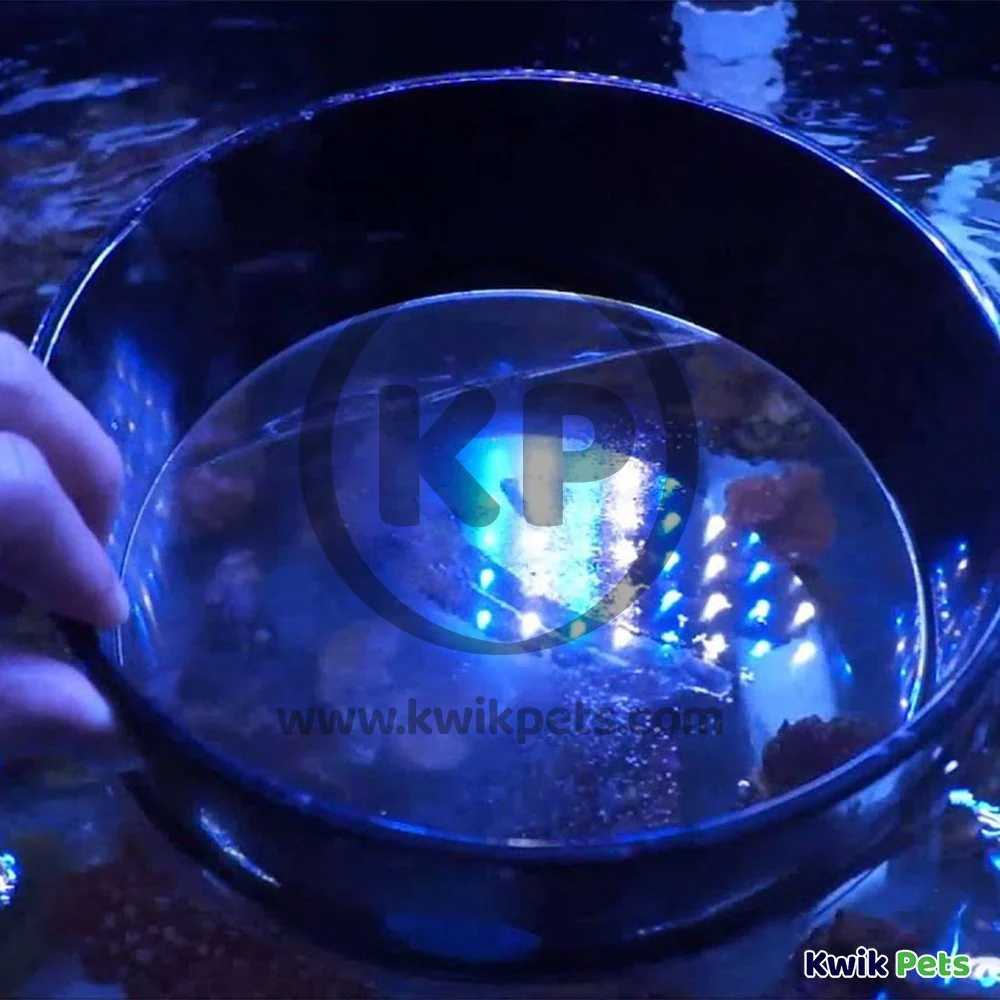 Eshopps Super Spy Acrylic Coral Viewer for Aquarium Medium 6‑in - Image 5