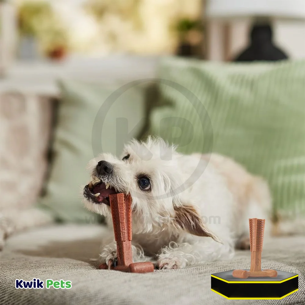 Spot Bam-Bone Plus Dog Chew Beef Small 4-in - Image 6