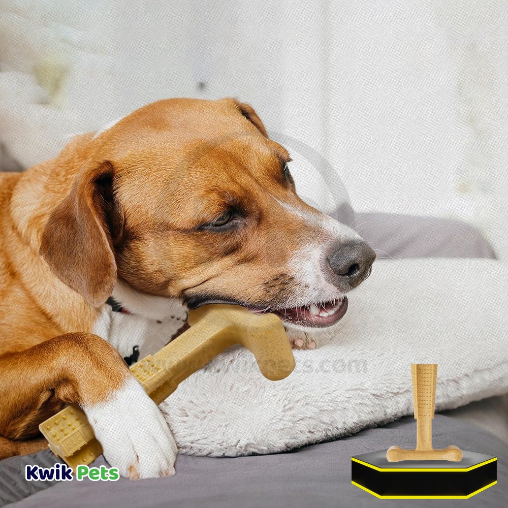 Spot Bam-Bone Plus Dog Chew Chicken Small 4-in - Image 6