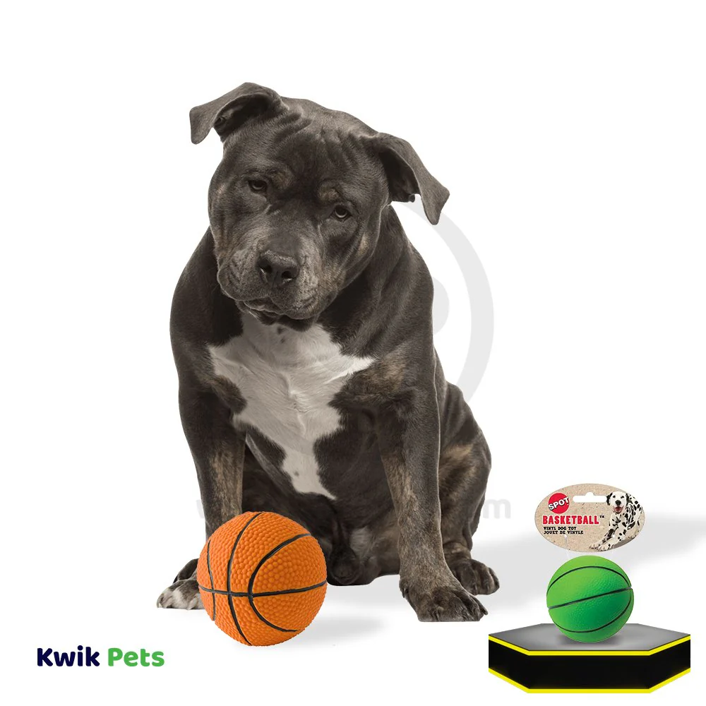 Spot Basketball Dog Toy Assorted 3-in - Image 6