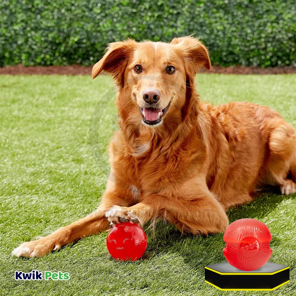 Spot Play Strong Ball Dog Toy Medium 3.25-in - Image 5