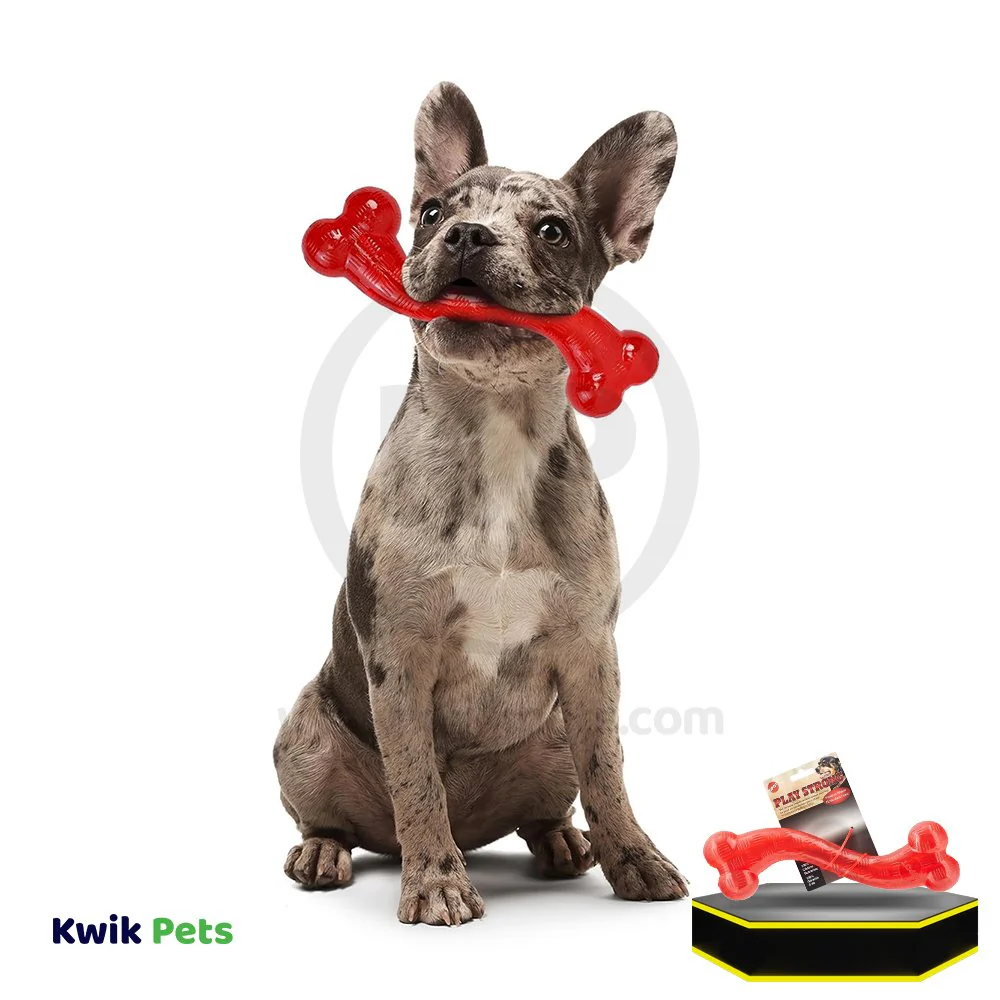Spot Play Strong Dog Toy Stick 12-in - Image 6